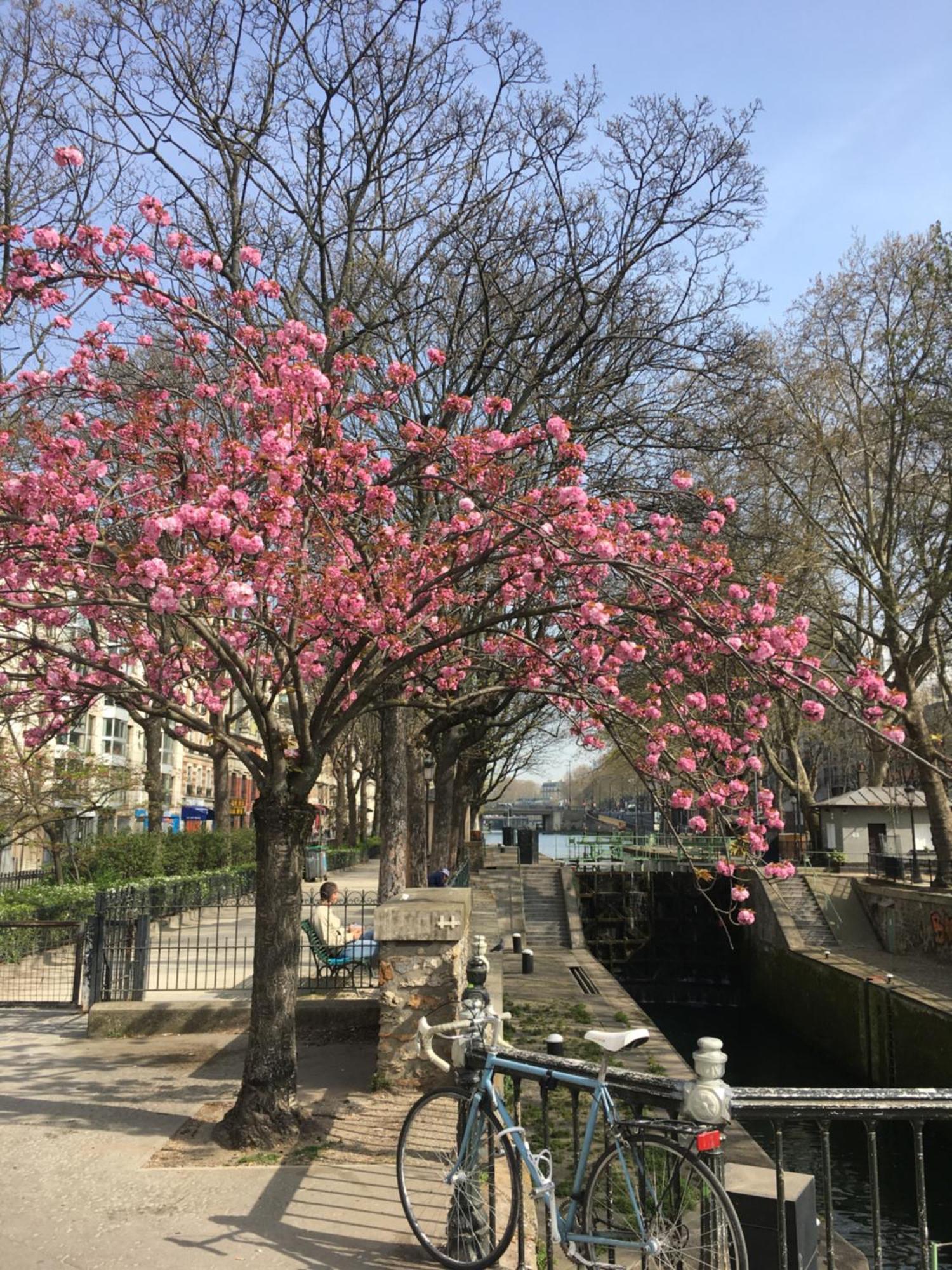 Appartement A Paris, Au Bord De L'eau